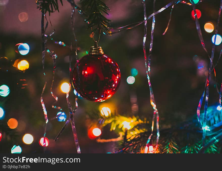 Photography of Red String Lights Hanging on Green Trees