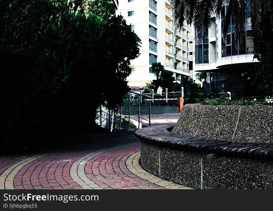 Photo of Empty Pathway Near Trees