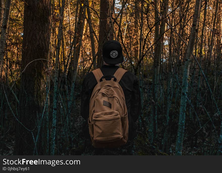 Photo of a Person at the Forest