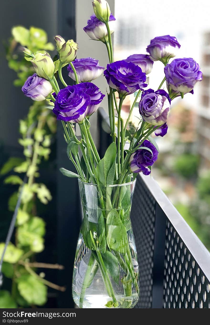 Close-Up Photography Flowers in a Vase