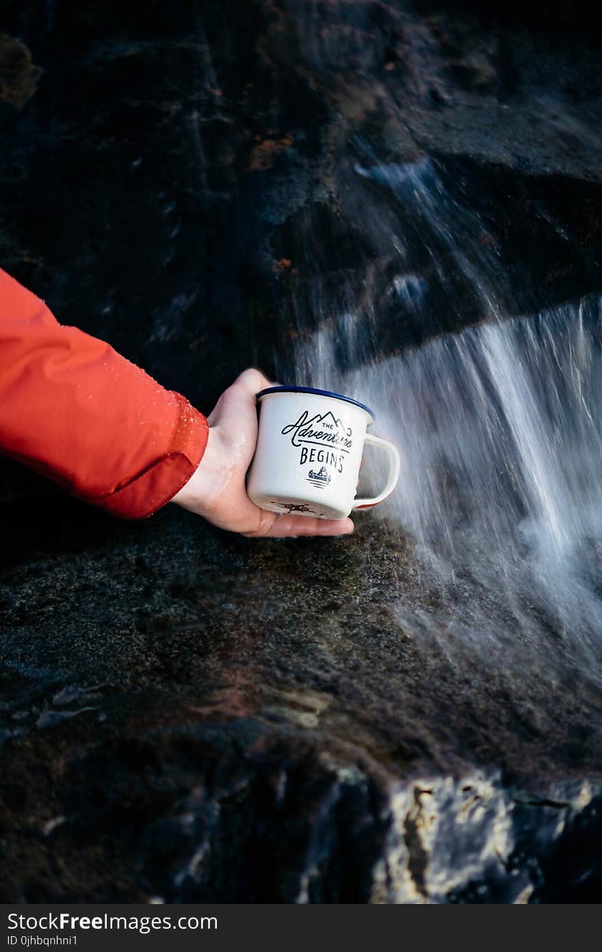 Photo of Person Holding a Cup