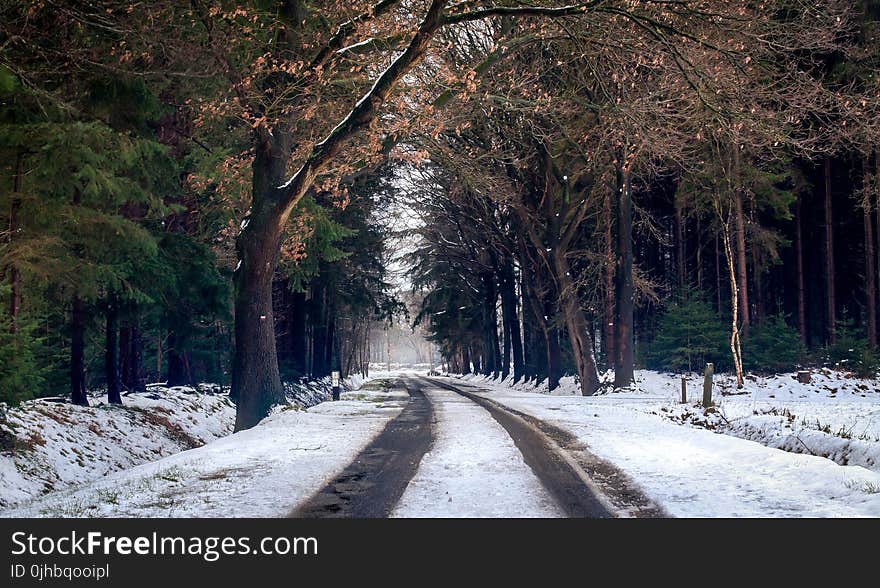 Photography of Road during Winter Season