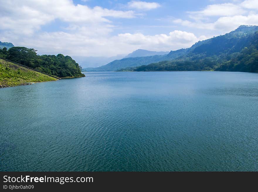 Body of Water Surrounded by Three Trees