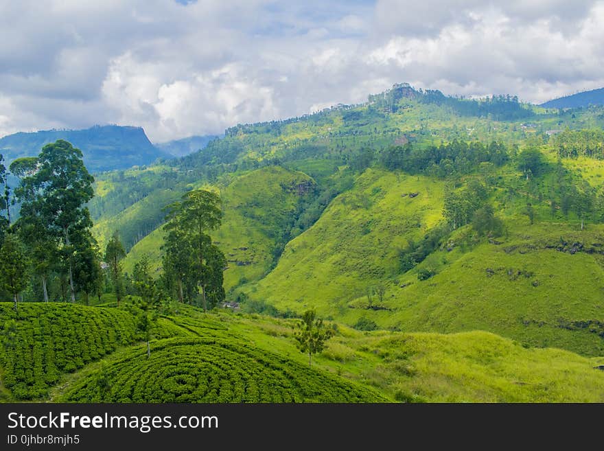 Aerial Photography of Green Mountains