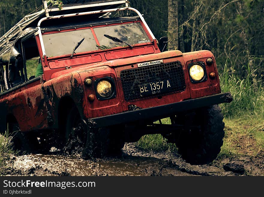 Red Car on Muddy Road Near Trees