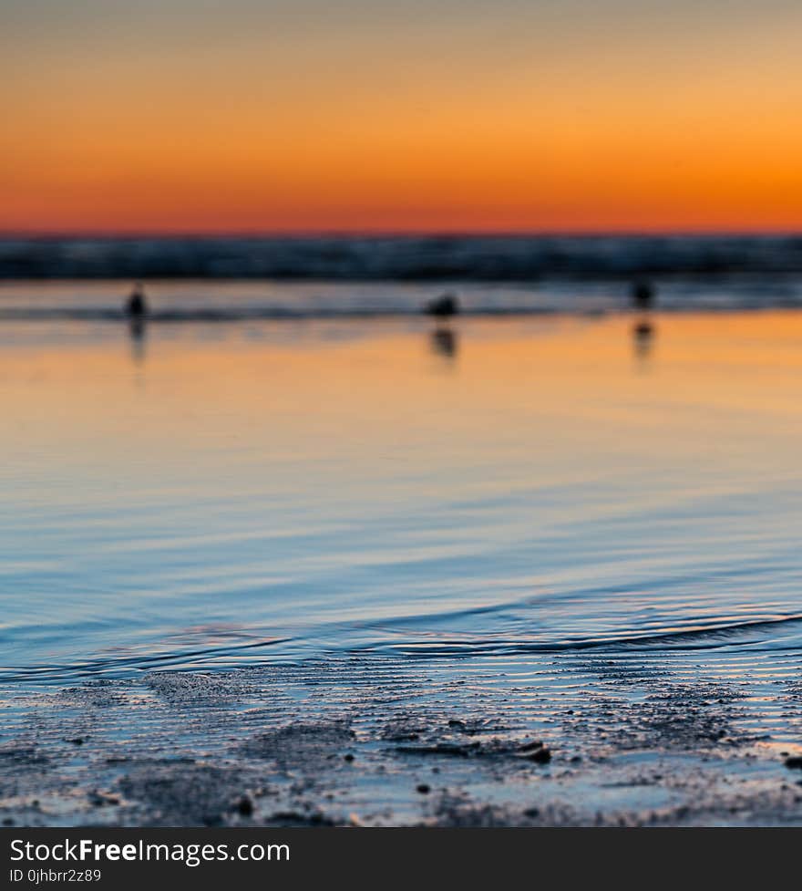 Scenic View of the Beach