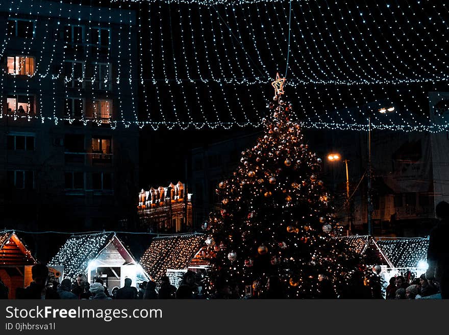 Christmas Tree With Decorations during Nighttime