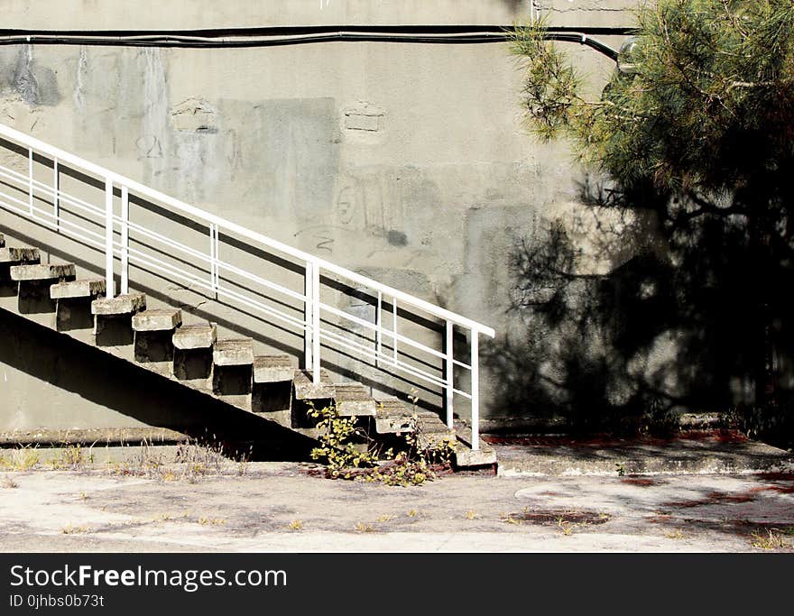 Photo of the Staircase near the Tree