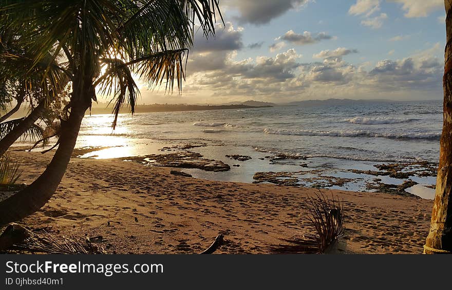 Landscape Photo of Beach Under Partly Cloudy Skies