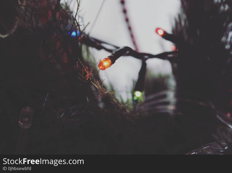 Close-Up Photography of Christmas Lights