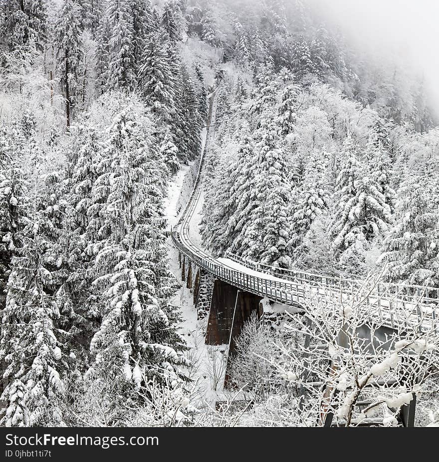 Aerial Photography of Train Rail Between Winter Trees