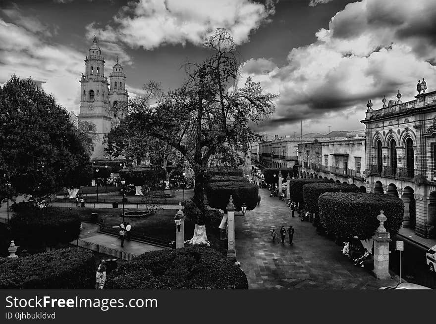 Greyscale Photo Of City