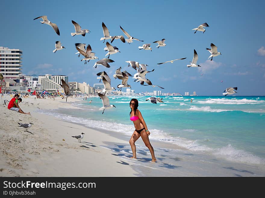 Photo of a Woman Under Flying Seagulls