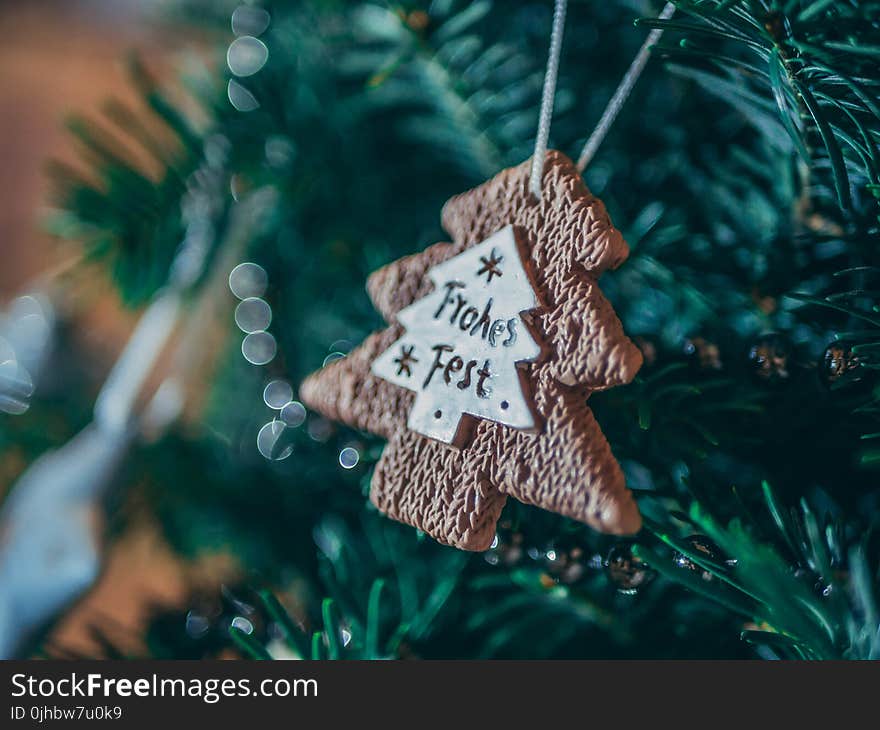 Brown Christmass Tree Ornament in Close-up Photo