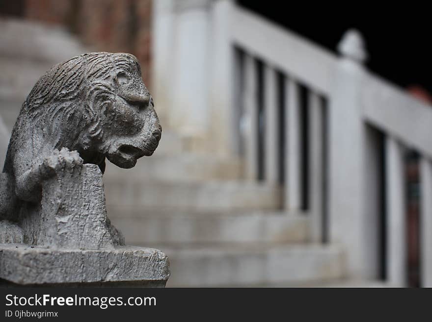 Selective Focus Photography of Gray Concrete Lion Head Stairs Decoration at Daytime