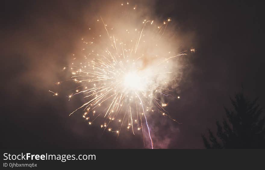 Fireworks during Nighttime