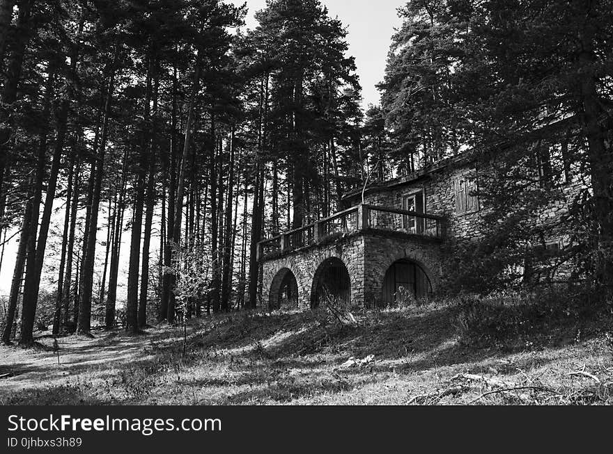 Black and White Photography of a Bricked Wall House