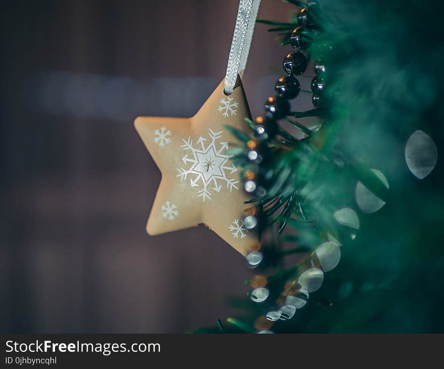 Brown Star Tree Decor