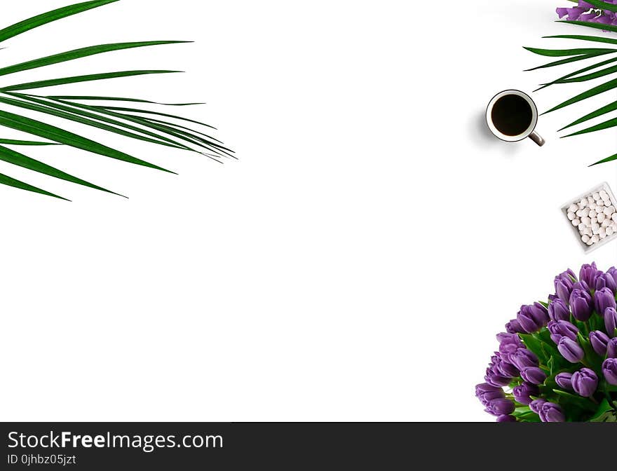 Top-view Photography of White Ceramic Mug On White Background