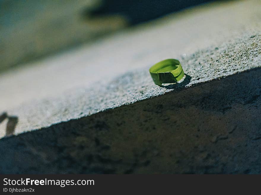 Photo of Round Green Leaf on Gray Concrete Bench