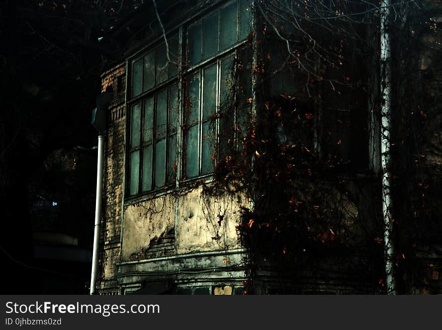 Teal and Gray Concrete Building