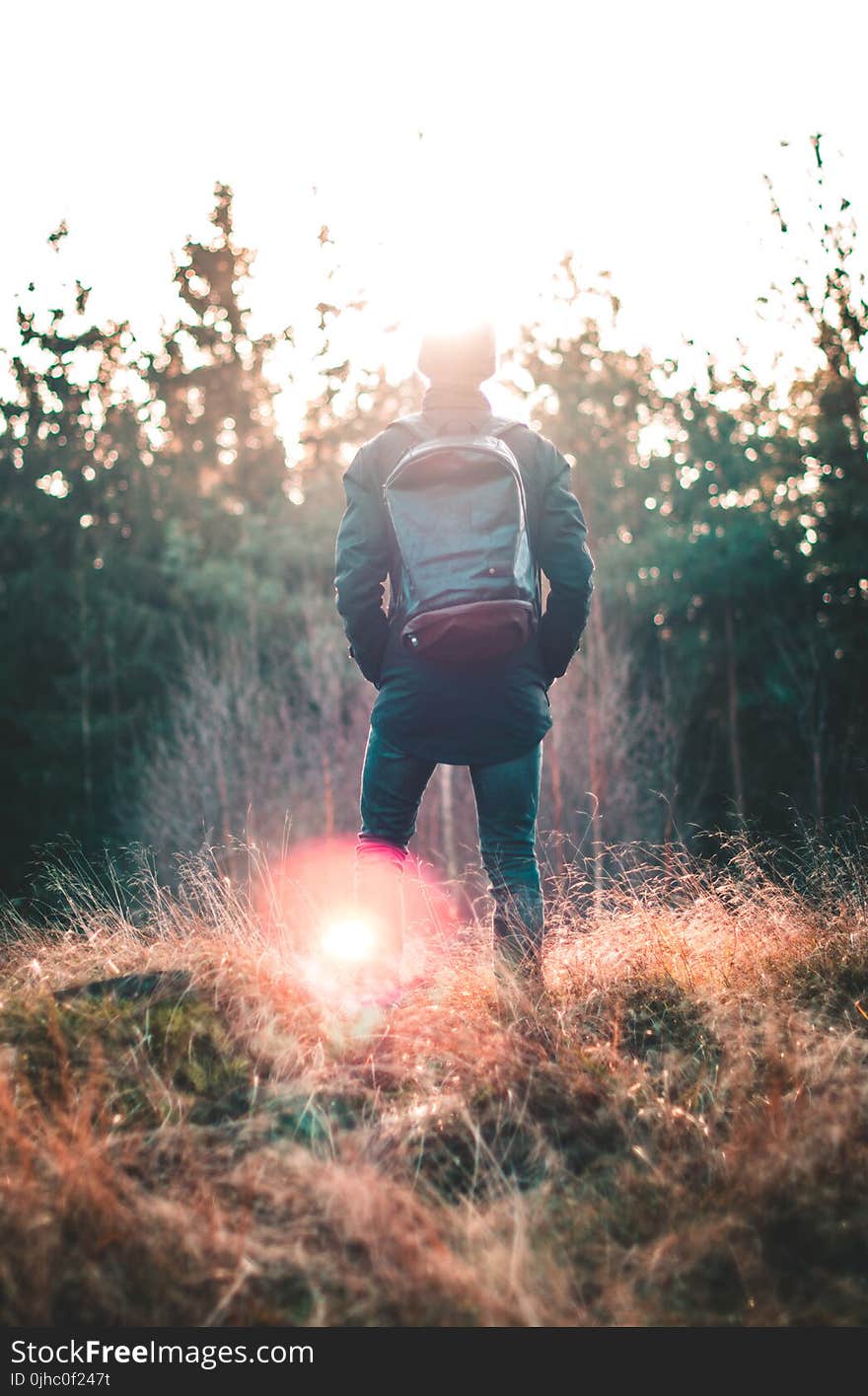 Man Standing Infront of Forest