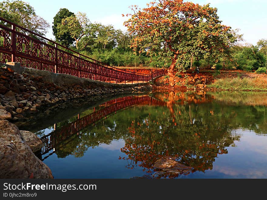 Reflection of a Tree on Body of Water Beside a Bridge Under Calm Blue Sky