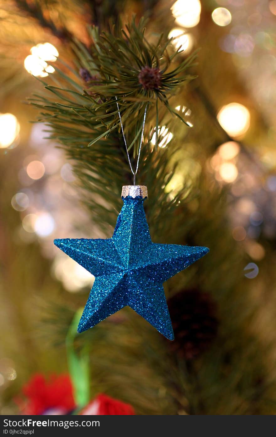 Shallow Focus Photography of Blue Star Christmas Tree Decor