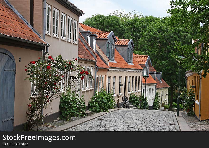 Beige and Brown Painted Houses