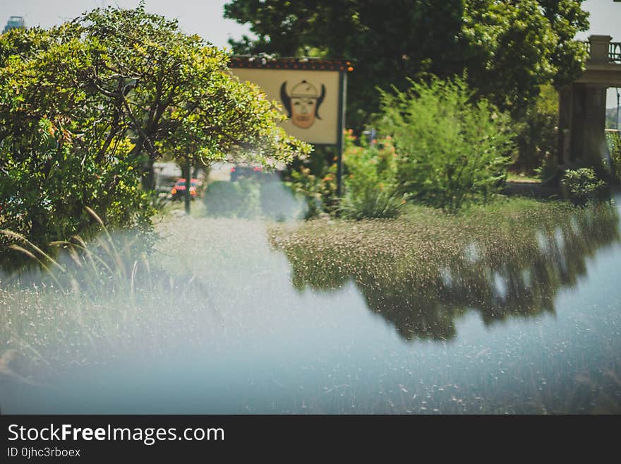 White Signpost over Small Body of Water Surrounded by Tall Trees at Daytime