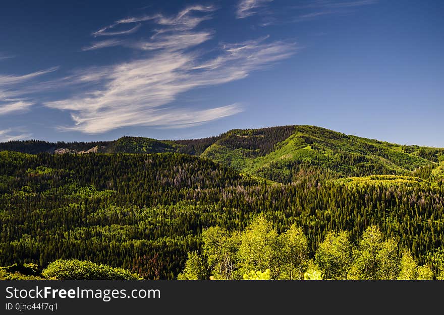 Green Tress and Mountain Under Blue Sky