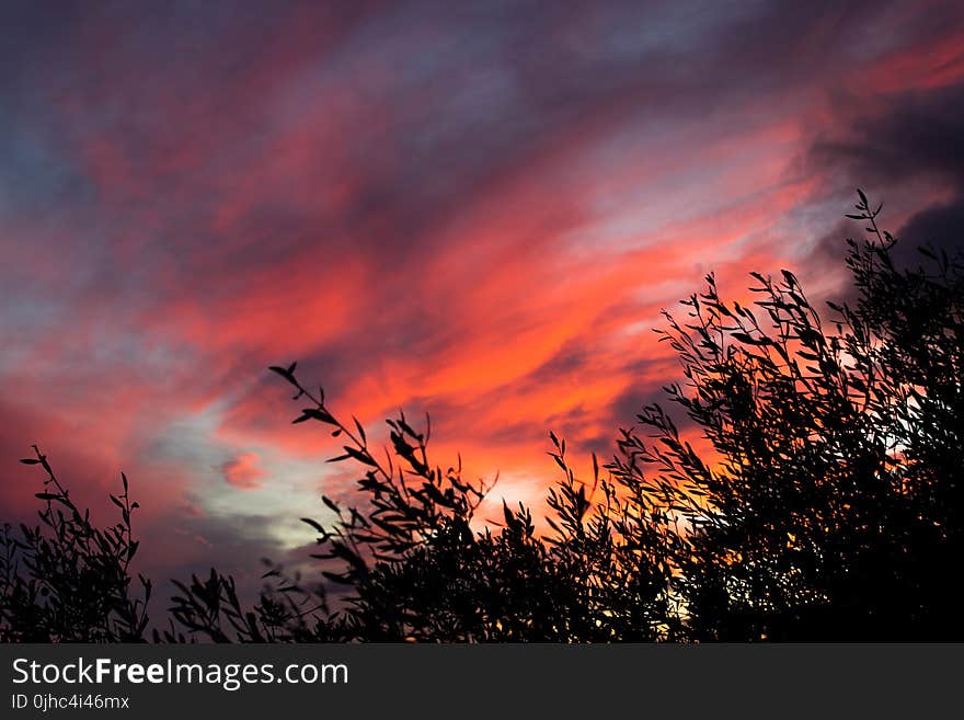 Brown Clouds during Sunset