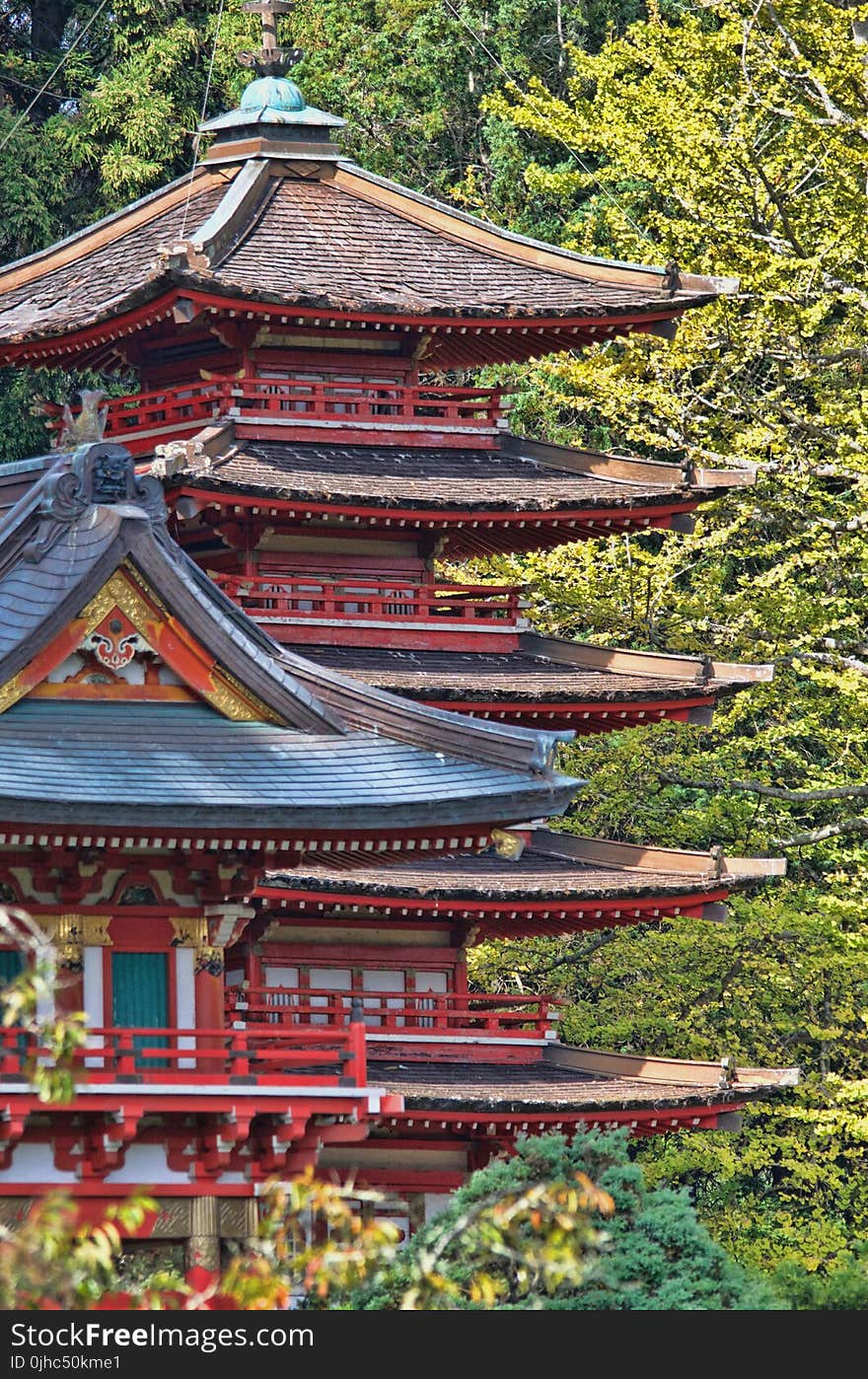 Red and Blue Temple Behind Green Leaf Trees at Daytime