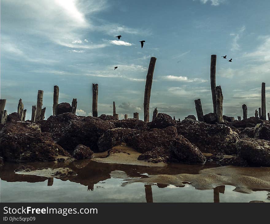 Red Corral Reef Under Cloudy Blue Sky