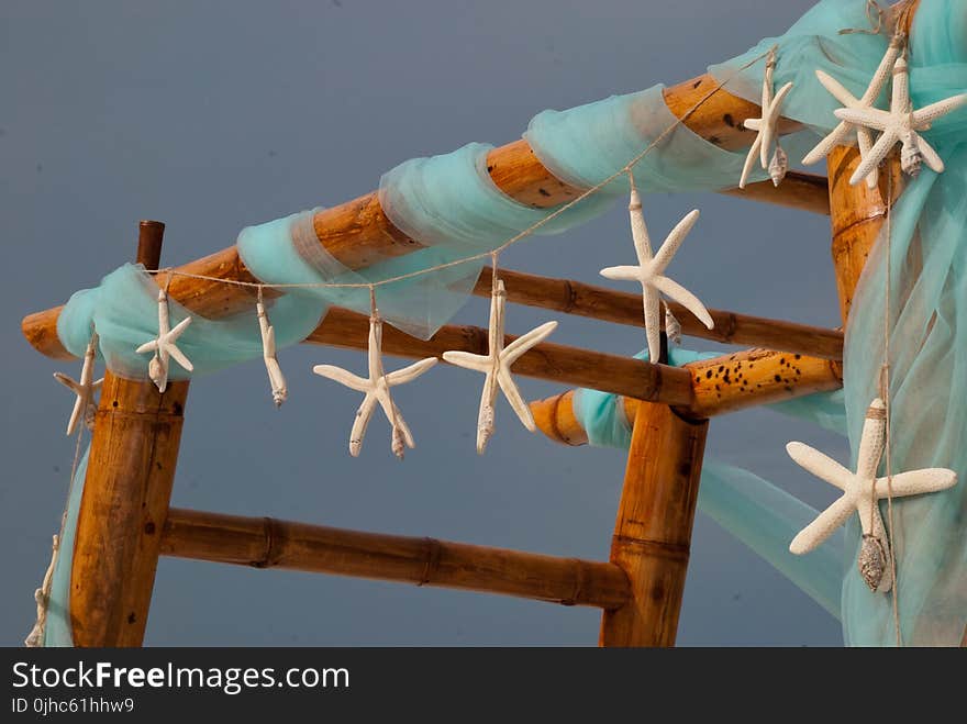 Starfish Hanging