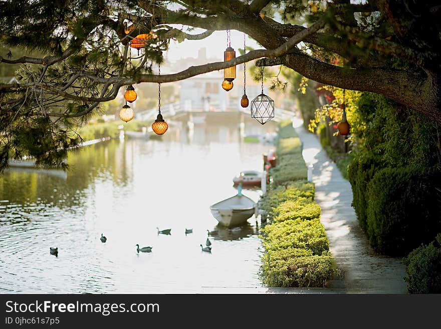 Brown Pendant Lamp Hanging on Tree Near River