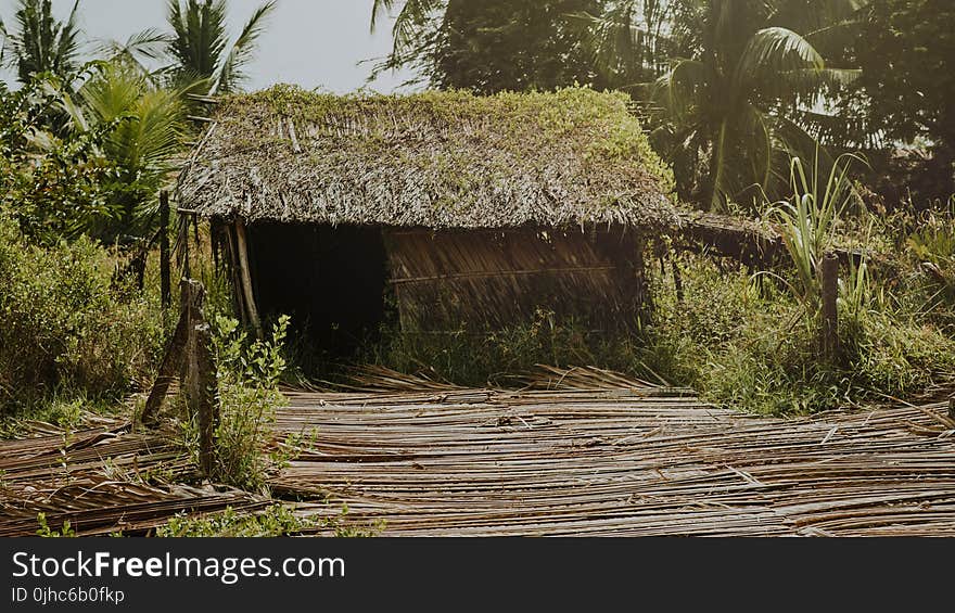 Brown Nipa Hut Photo