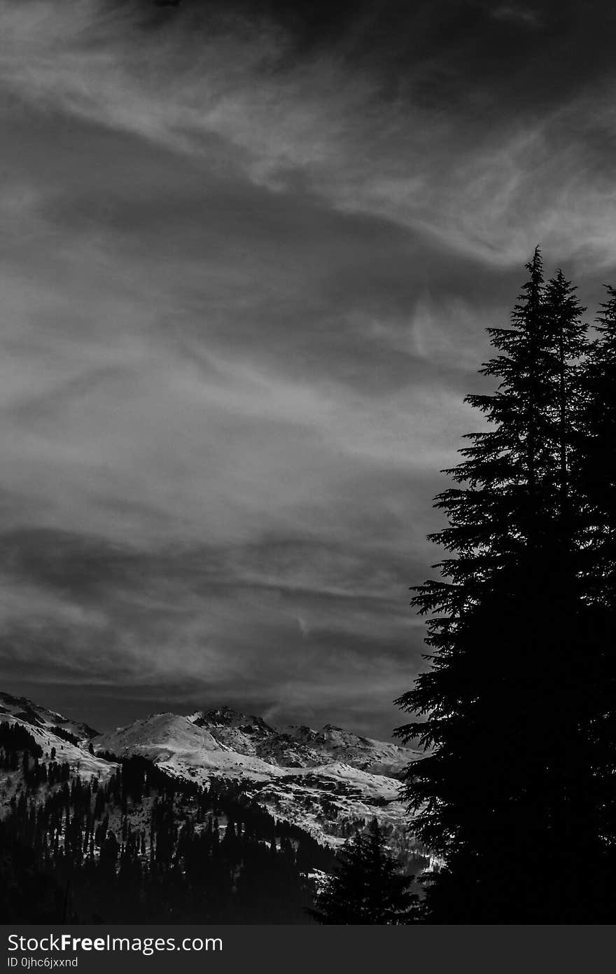 Mountain And Trees