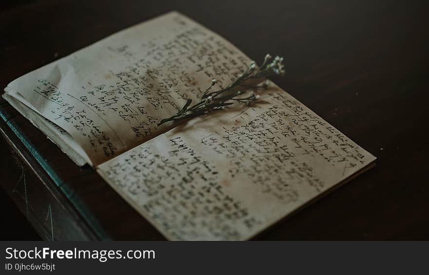 Close-up Photo of White and Black Journal