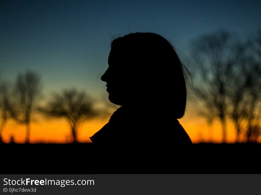 Silhouette of a Person during Sunset