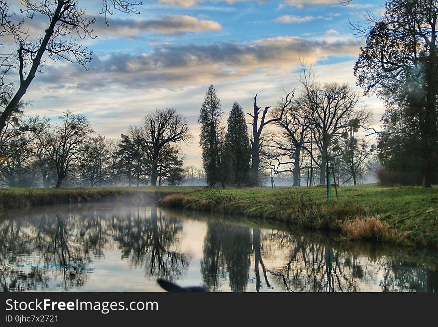 Landscape of River Forest