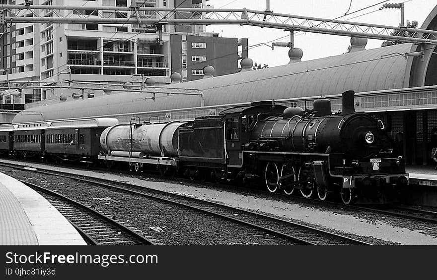 Grayscale Photo of Train