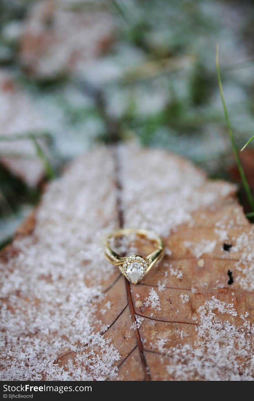 Diamond Pear Cut Ring On Brown Leaf With Snow