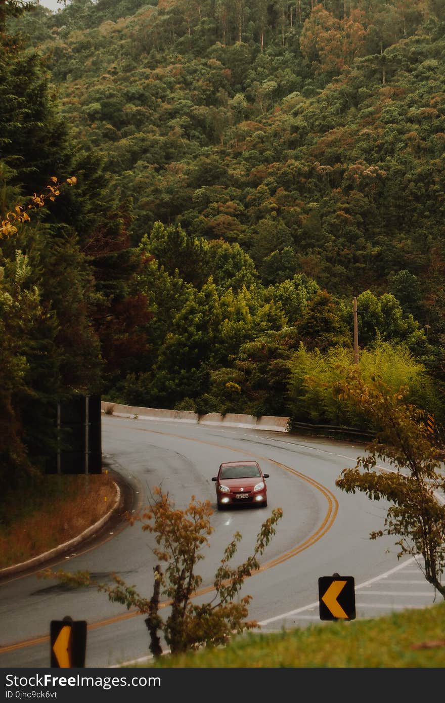 Red Car Travels on the Curved Road