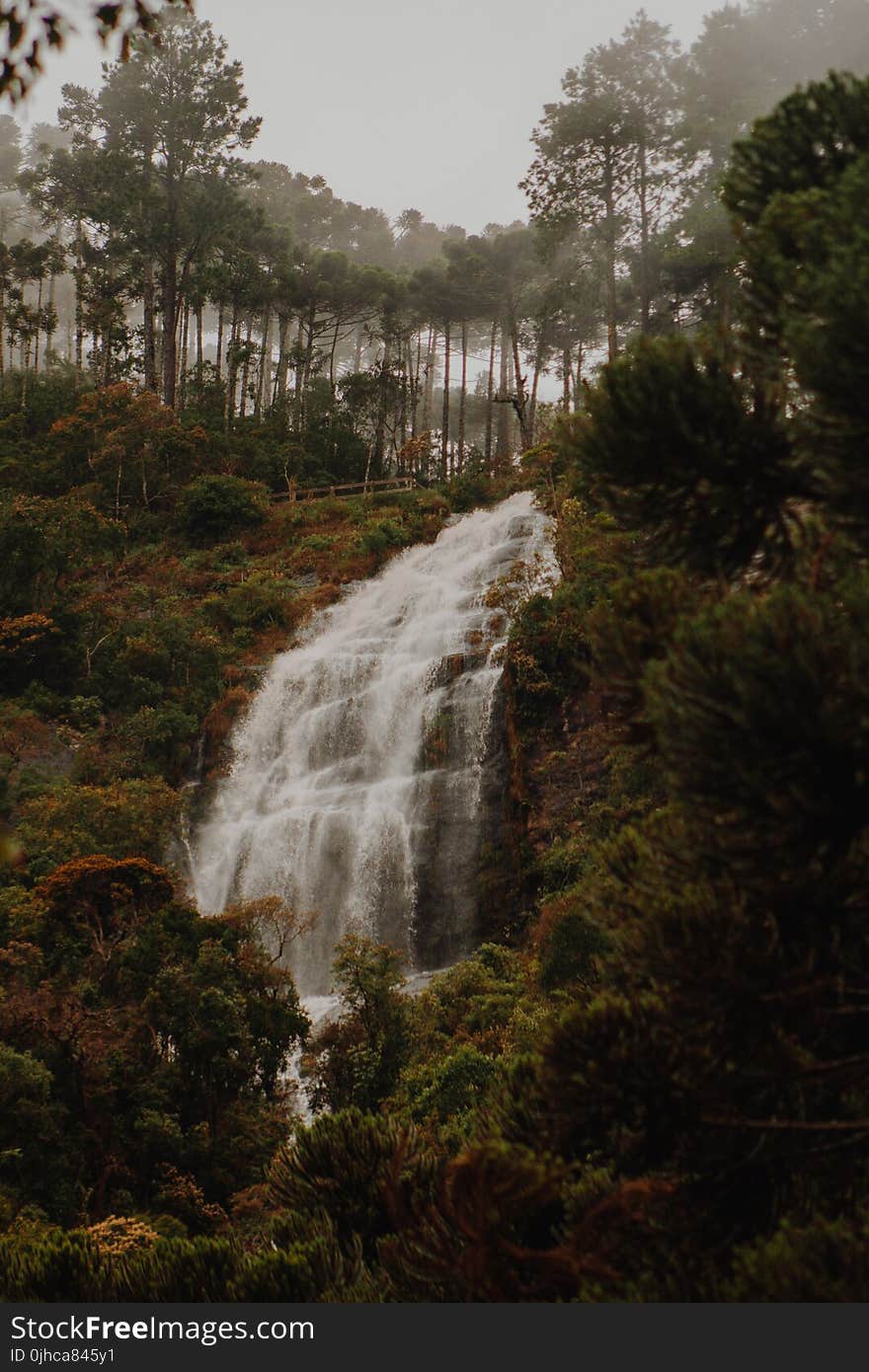 Natures Photography of Waterfalls