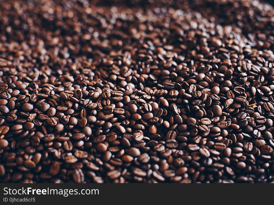 Close-Up Photography of Roasted Coffee Beans