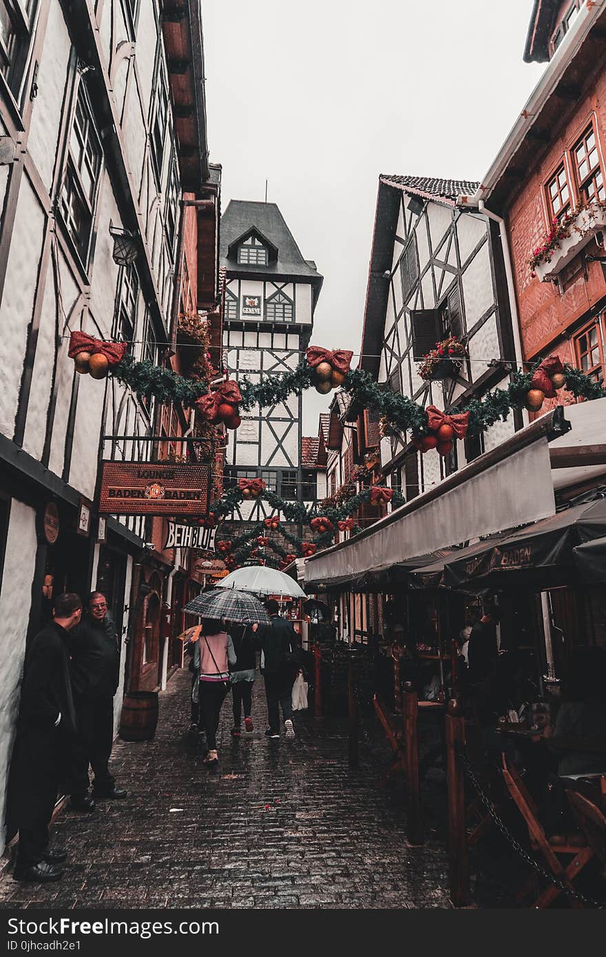 Photo of People Walking Across the Alley