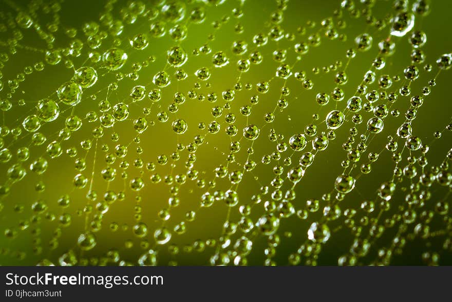 Close-up Photography Of Spiderweb With Water Dew