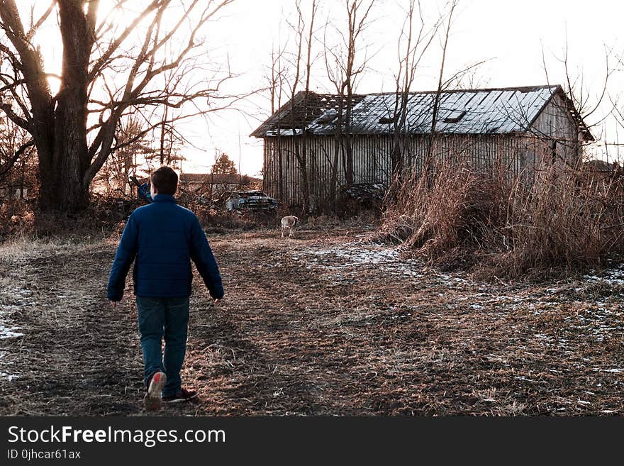 Man Wears Blue Jacket Near Leafless Tree