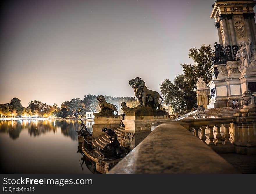 Shallow Focus of Gold Lion Statues